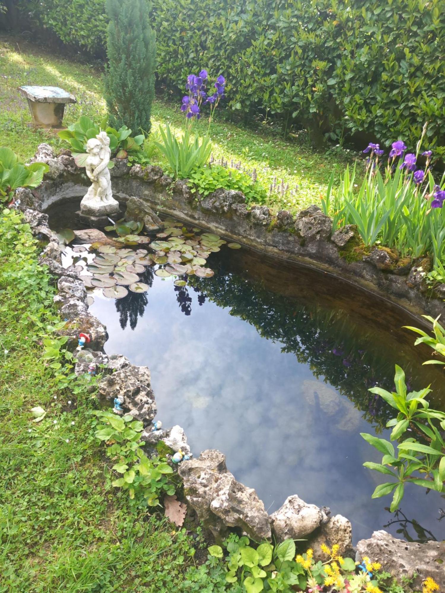 Il Laghetto Panzió Torre Canavese Kültér fotó